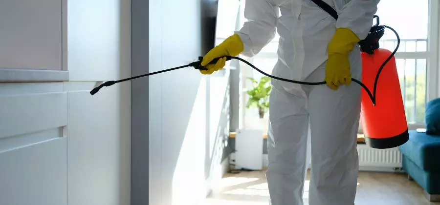 Waarom snelle schoonmaak na brandschade essentieel is voor herstel.​